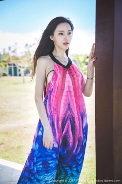 《金花瓶楷梅花2》